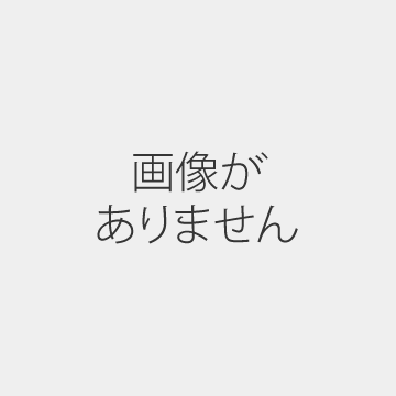 Design Store オリジナル紙袋
